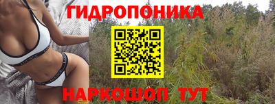 таблы Будённовск